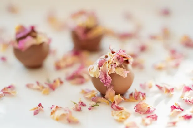 Kasino Fantastic Spins Android/iOS Aplikácia